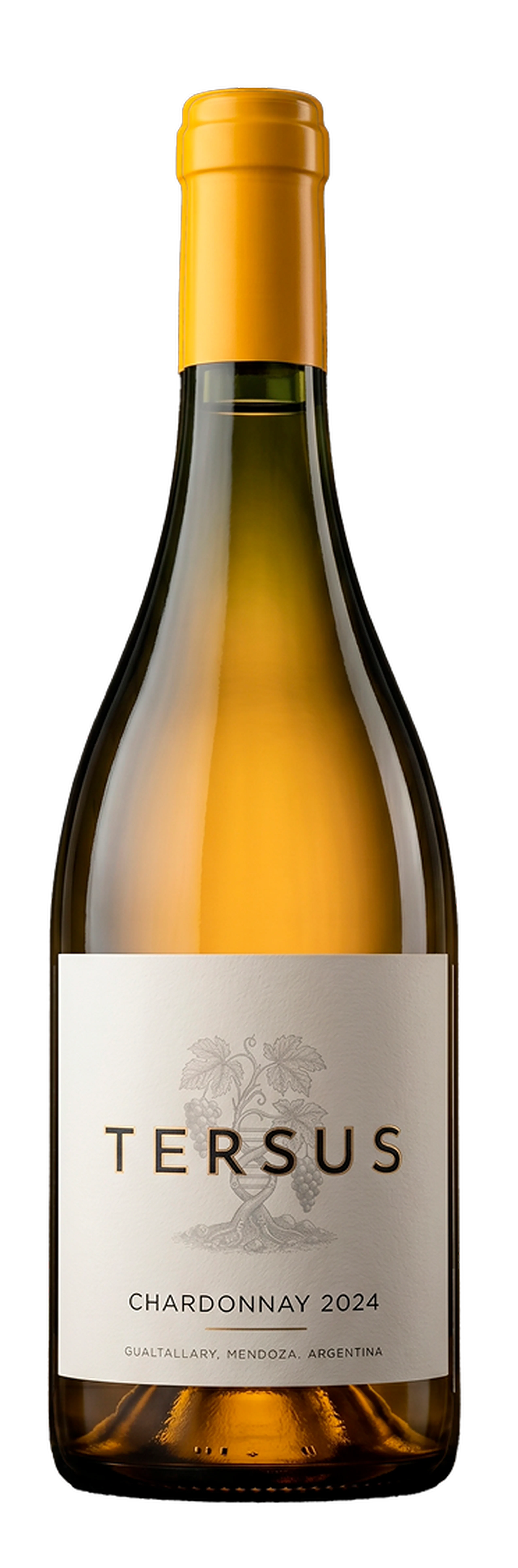 TERSUS CHARDONNAY